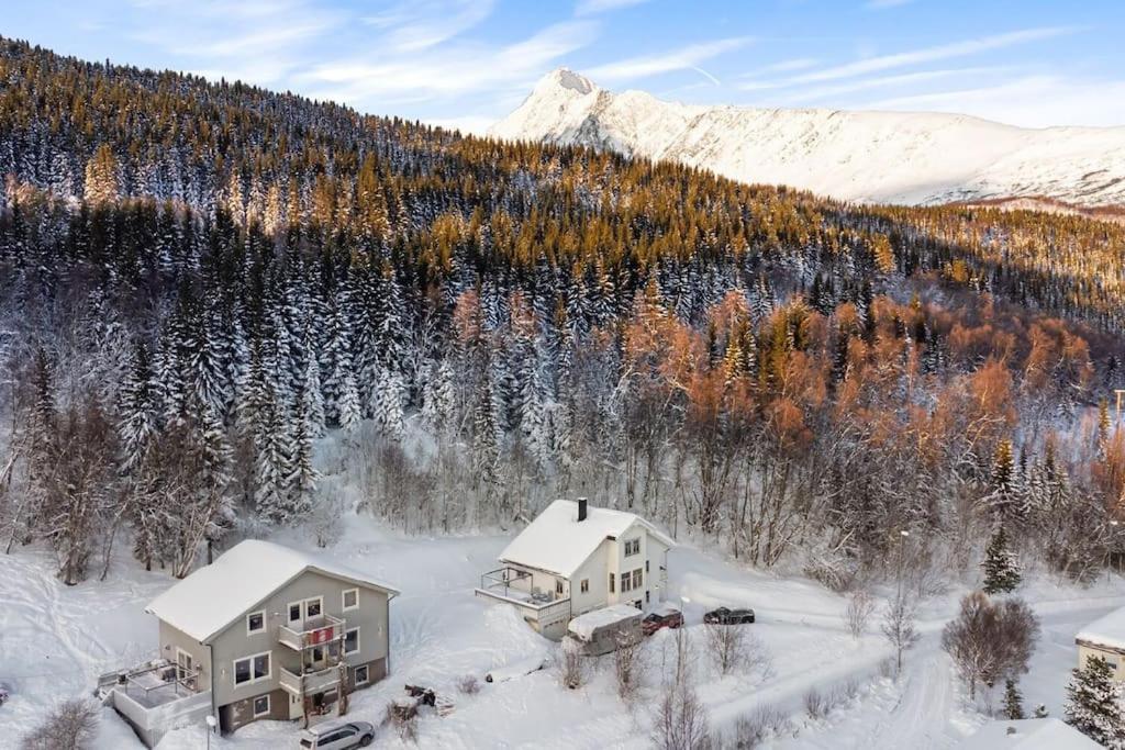 Main Floor In The Lyngen Alps, Whole House Rentable Lyngseidet