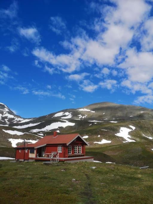Main Floor In The Lyngen Alps, Whole House Rentable