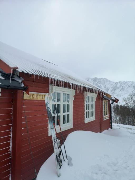 Apartment Main Floor In The Lyngen Alps, Whole House Rentable *