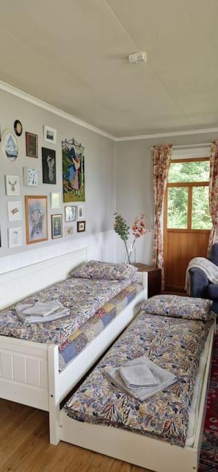 Apartment Main Floor In The Lyngen Alps, Whole House Rentable Lyngseidet