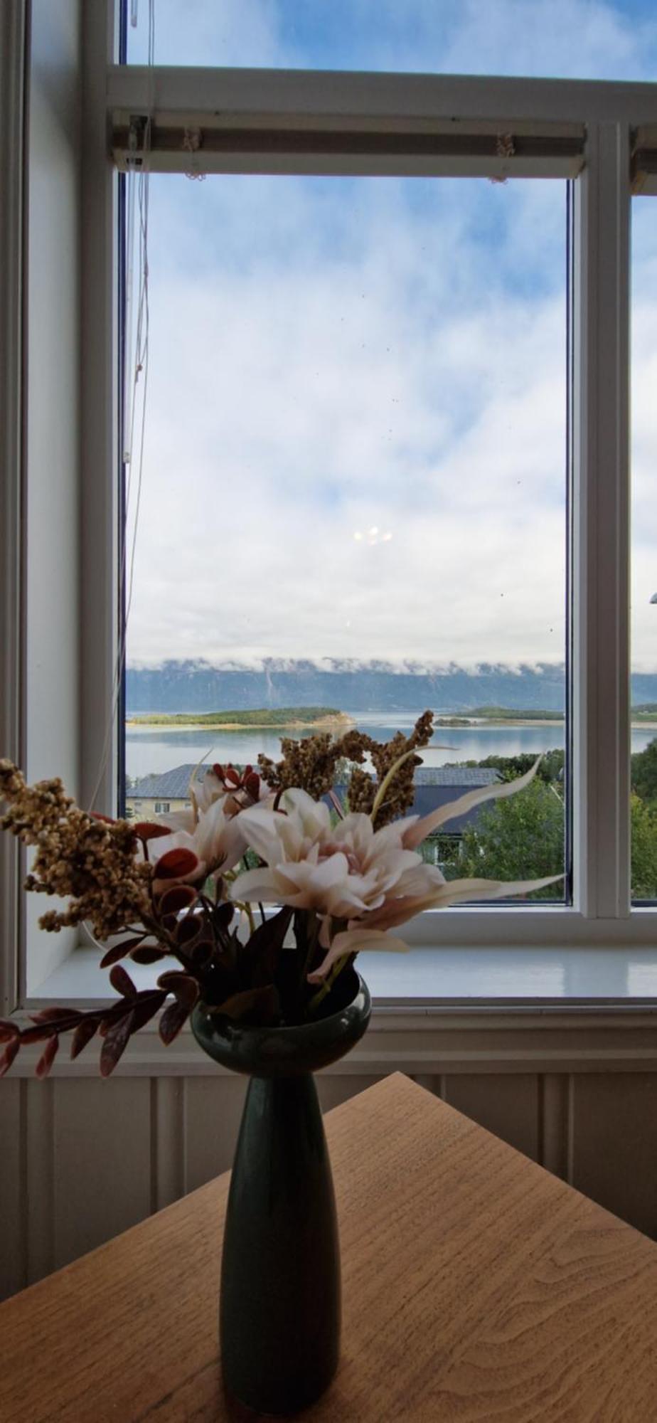 Main Floor In The Lyngen Alps, Whole House Rentable Apartment